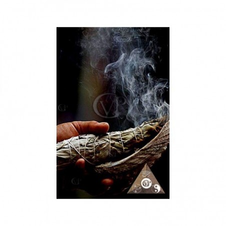 Le petit oracle grimoire de magie