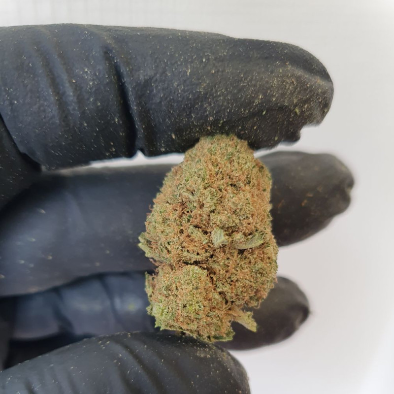 Fleur CBD - LOS ANGELES AMNESIA 2.0